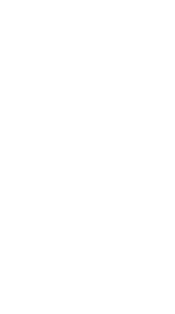 ZYG ZAG